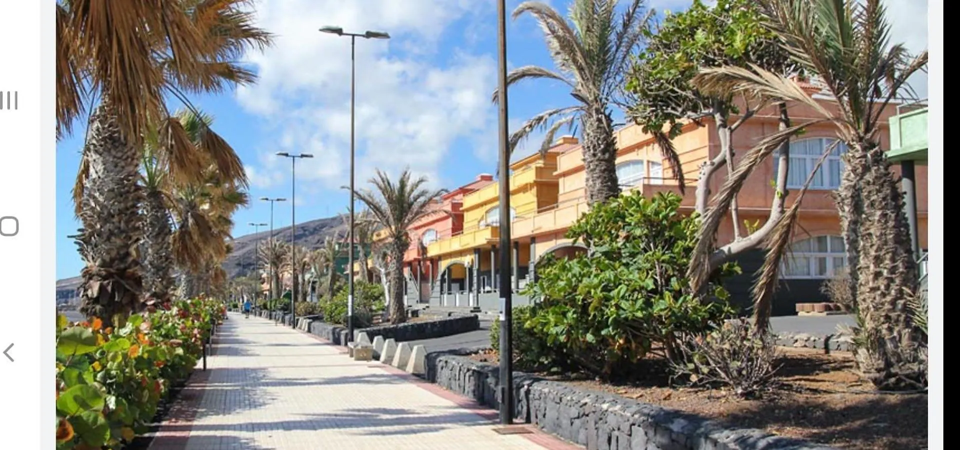 Canela Tenerife Apartment Puertito de Guimar